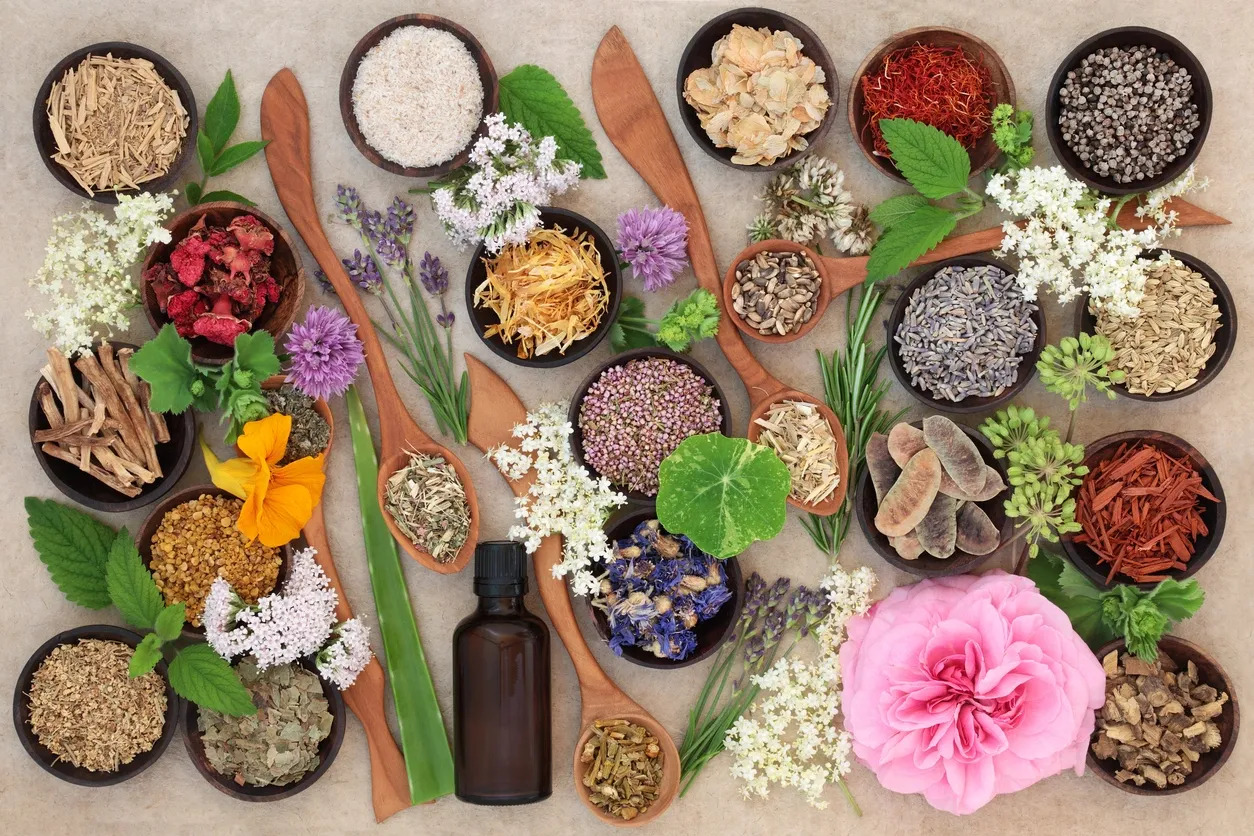 Flat lay of organic herbs, botanicals and natural ingredients used in clean skincare formulations