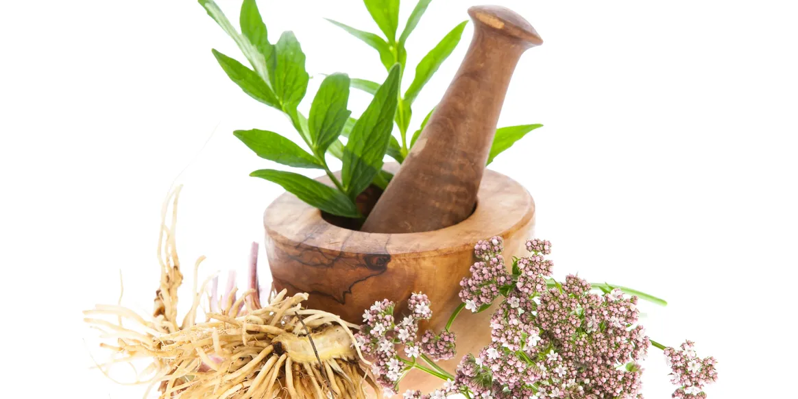Dried herbs and botanicals with a wooden mortar and pestle for natural skincare formulations