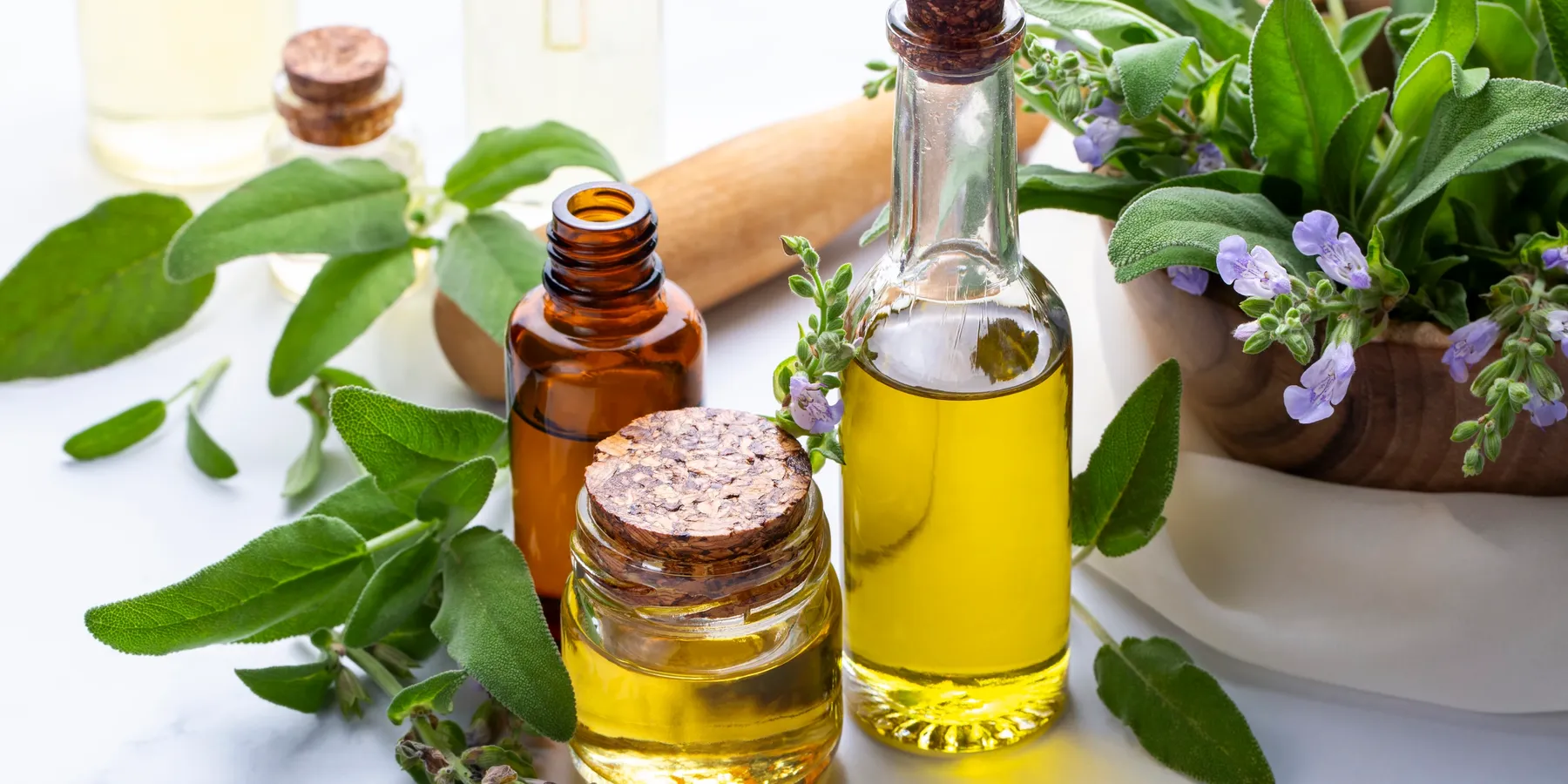 Carrier oils in glass bottles surrounded by fresh herbs and botanicals. Everlasting Organics ingredient library