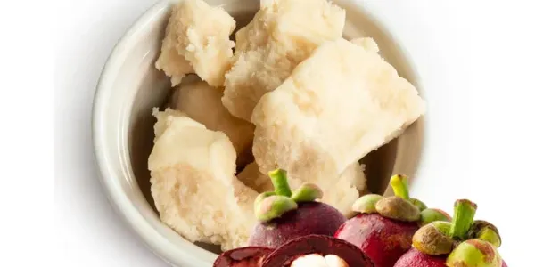 Kokum butter pieces and seeds in white bowl for natural skincare formulations by Everlasting Organics