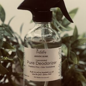 Abiding Home Pure Deodorizer concentrated fragrance free odor neutralizer in clear glass bottle with black spray nozzle, zinc ricinoleate formula, Everlasting Organics Abiding Home collection